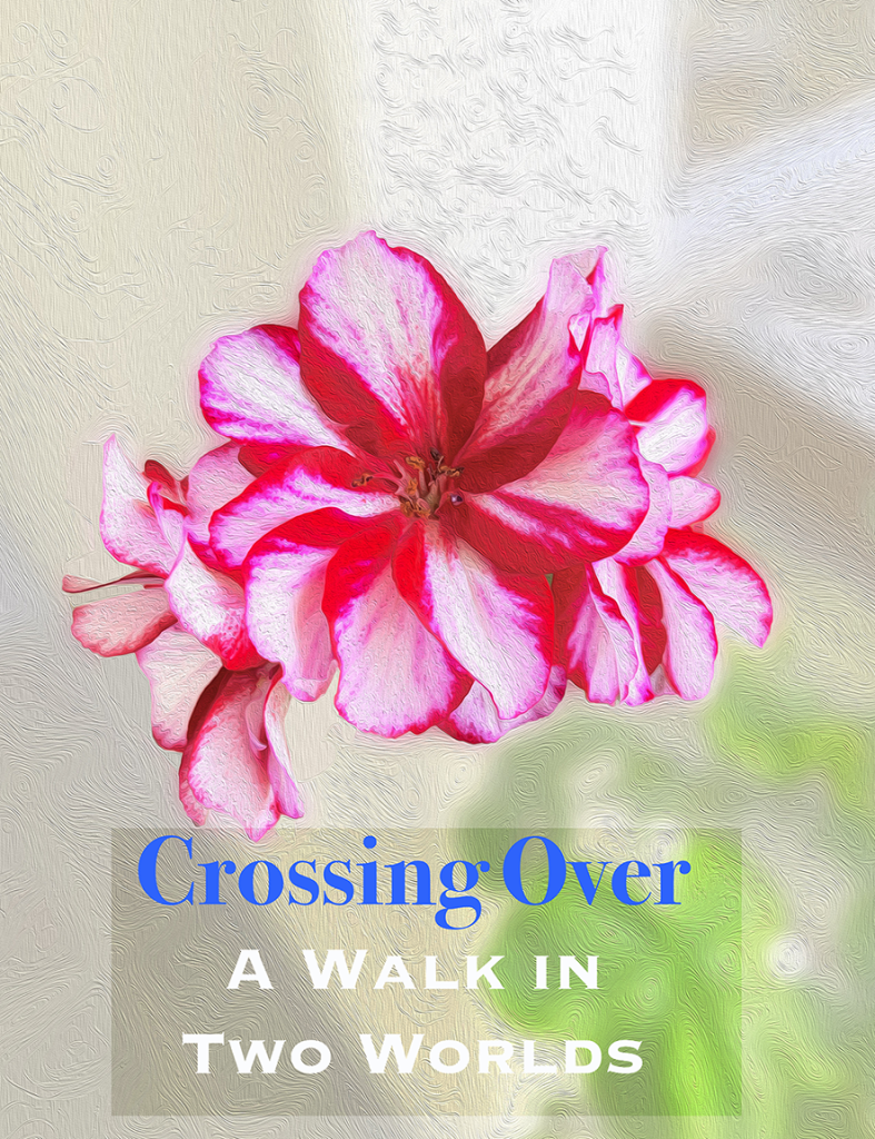 Crossing Over: A Walk in Two Worlds