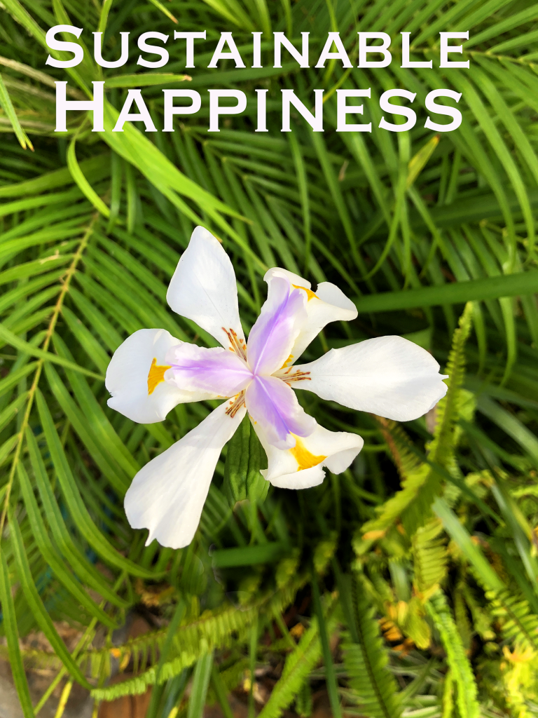Sustainable Happiness