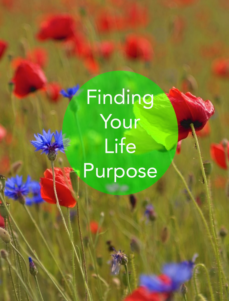 Finding Your Life Purpose