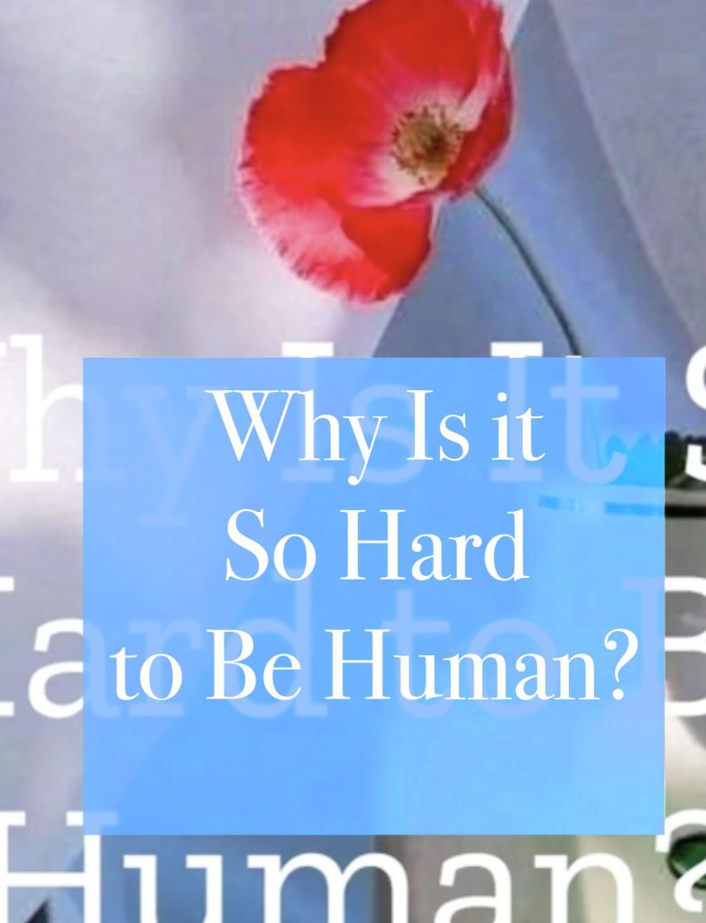 Why Is it So Hard to Be Human?
